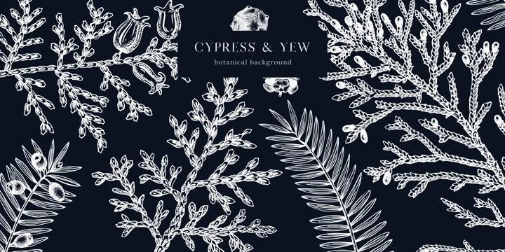 Christmas background on chalkboard. Vector frame with hand drawn conifers sketch - cypress and yew. Vintage design for Christmas decoration. Winter trees and evergreen plants botanical illustration